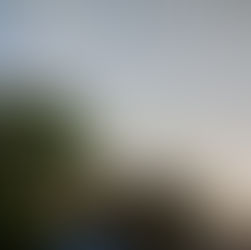 April 30, 2022: Morning Light