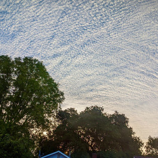 April 30, 2022: Morning Light