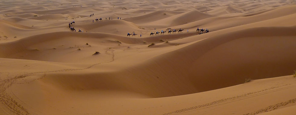 Camel Ride at Erg Chebbi
