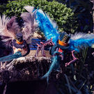 Spider and Hedgehog.jpg