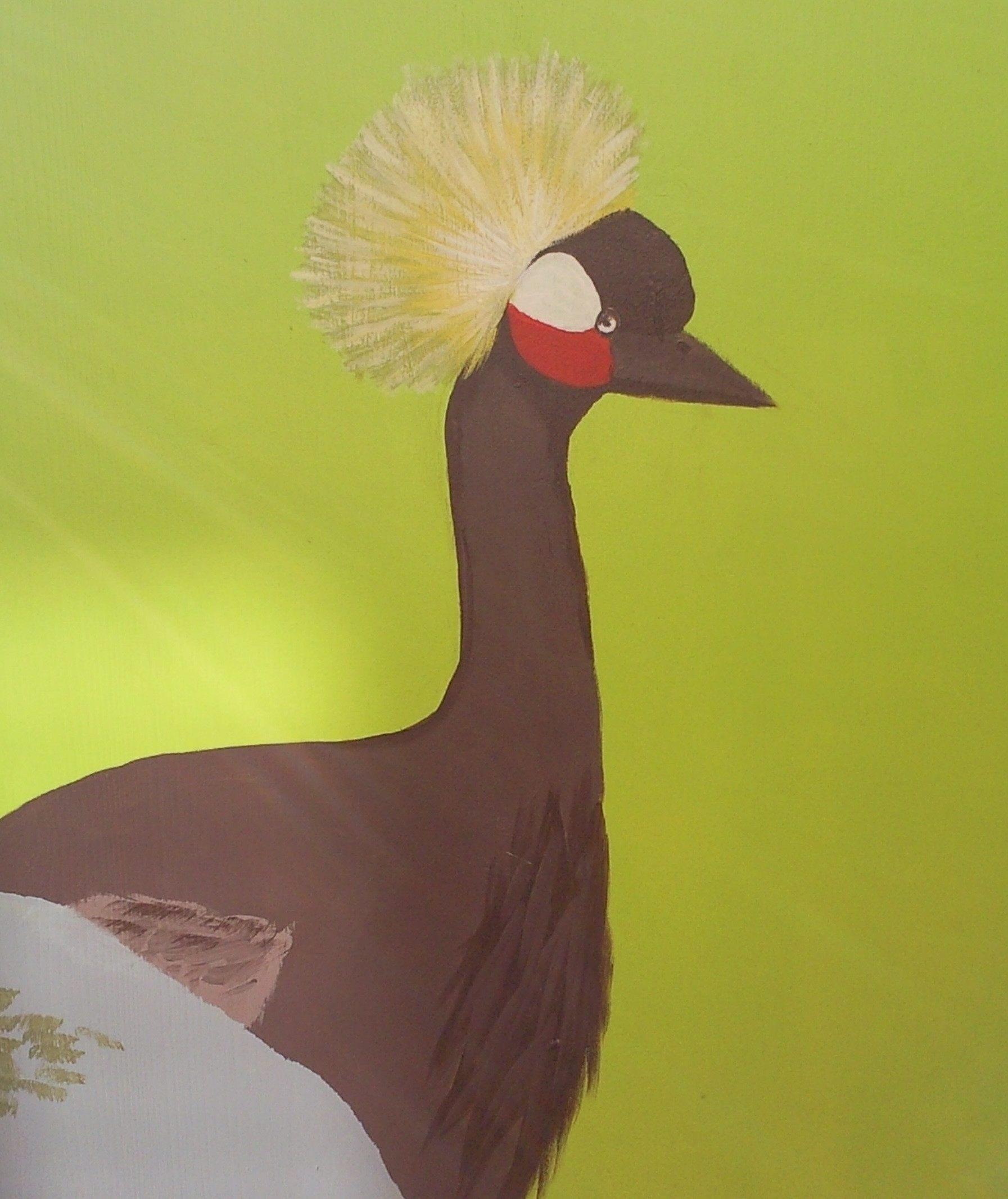 Ibis Madame la Belle