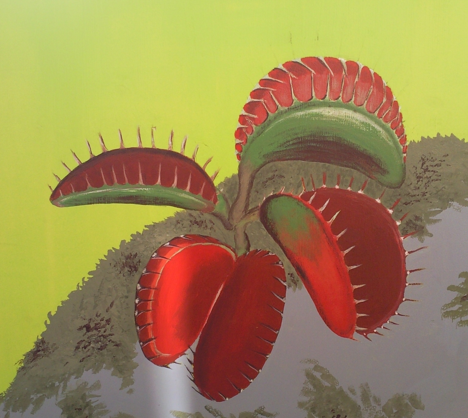 Plante carnivore