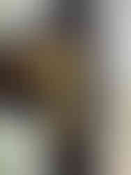 鍵交換後の玄関ドア(室内側)