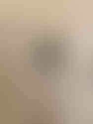 新規で鍵を取り付けた室内ドアの内側