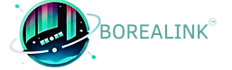 LOGOS BOREALINK 2 (3)_edited.png
