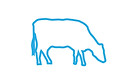 cow icon-01.jpg