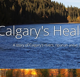 Calgary Healthy Rivers story map.JPG
