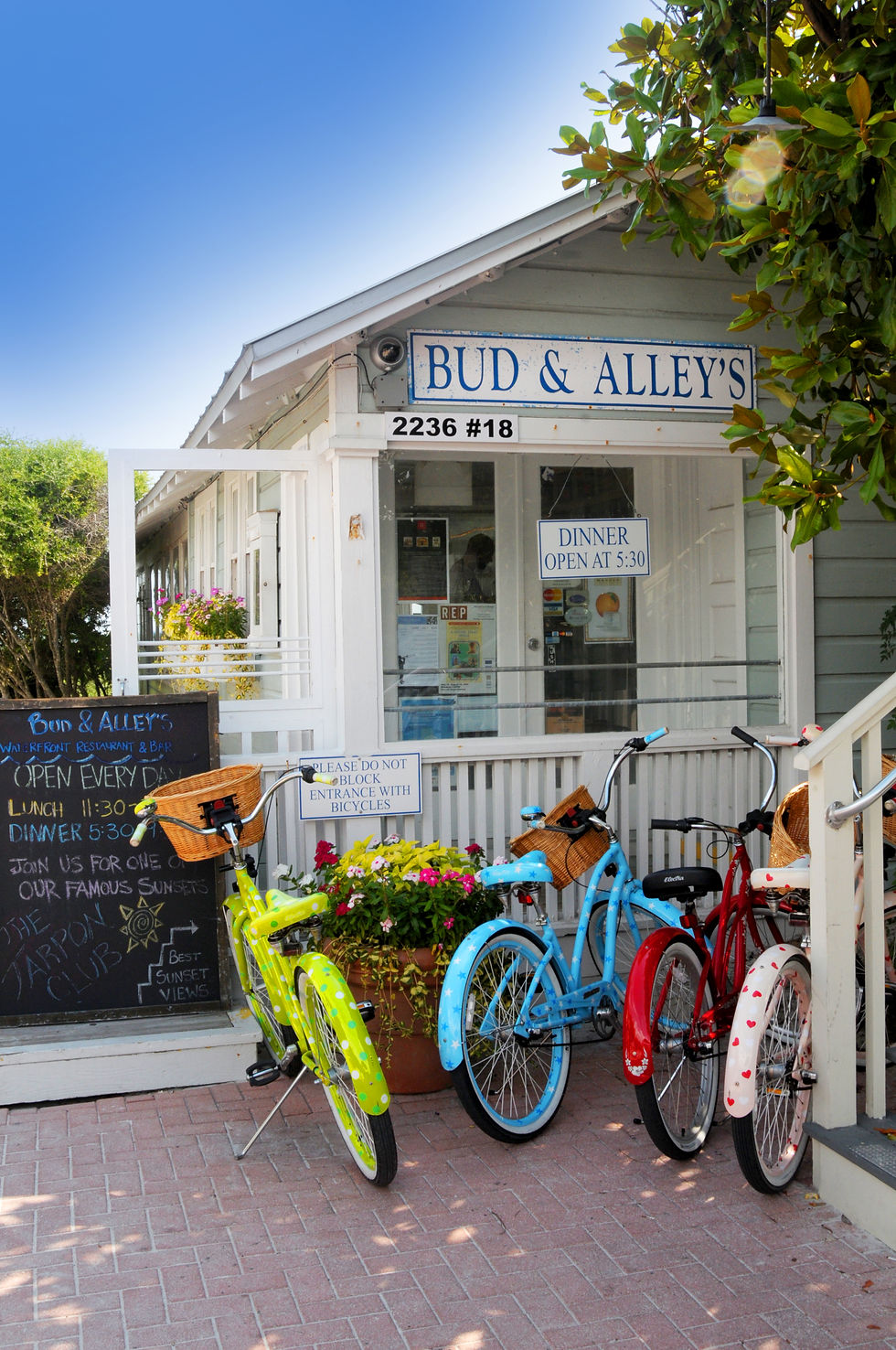 Bud and Alleys