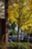 303A4104.jpg