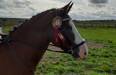 ED looking proud 6.jpg