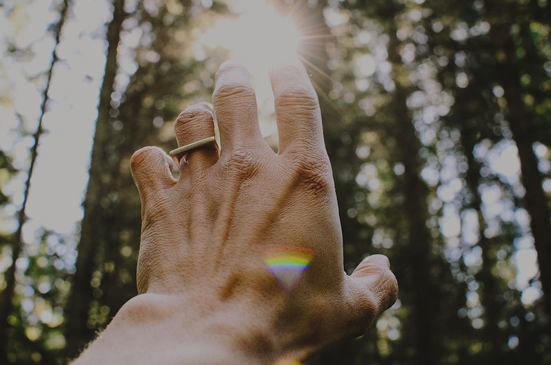 An exploration of the forest we all have inside____We all have a forest inside full of fee
