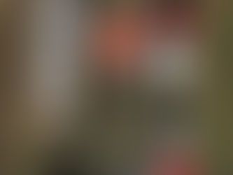 Az Ebrótól a Dunáig  - avagy evolúciós zsákutca-e a fekvőkerékpár?