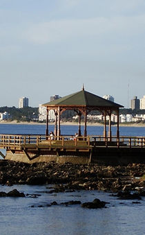 la-mansa-punta-este-1 (1).jpg