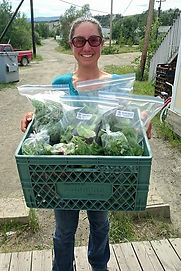 Sarah's Harvest Local Organic Produce