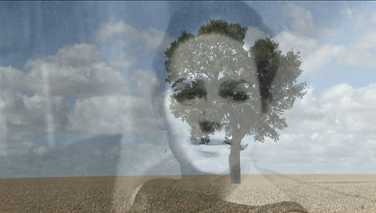 layered colour photographs of a womans face over a landscape