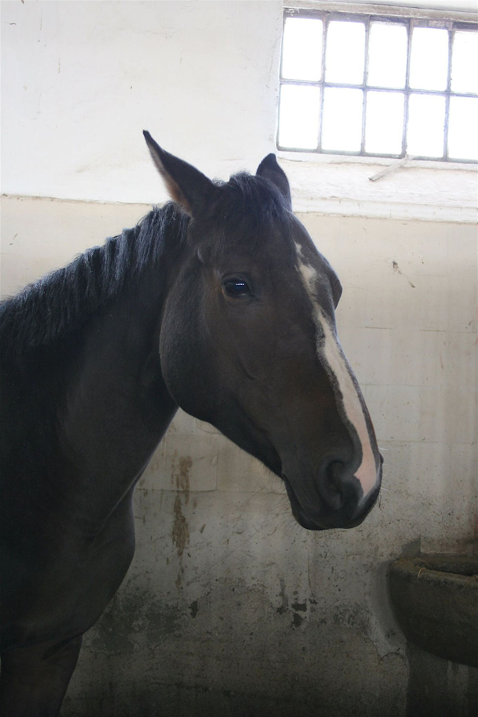 Unterwegs in Debrecen & Hortobagy