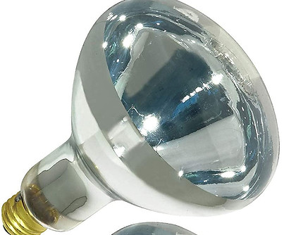 Heat lamp bulbs