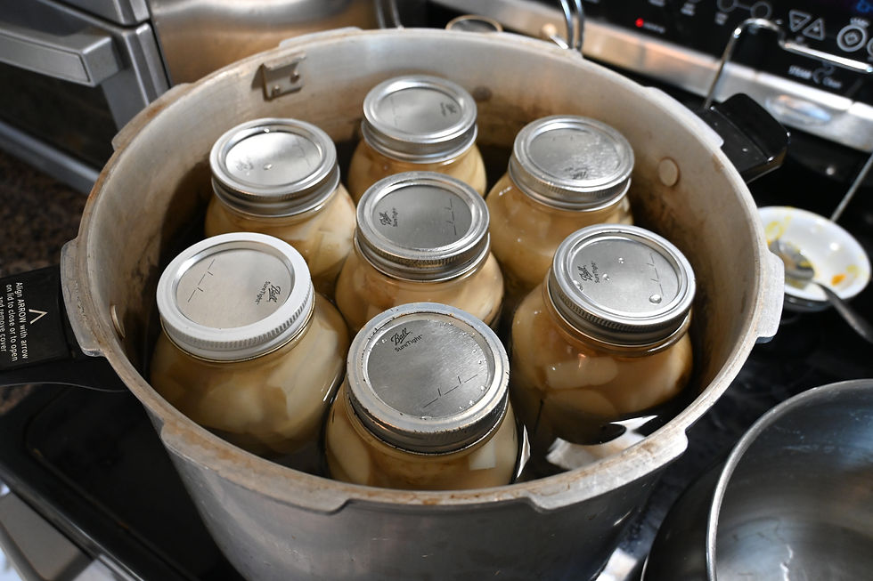 Pressure canning potatoes for long term storage