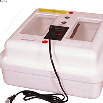 hatching eggs incubator