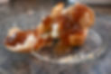 DSC_0038.JPG