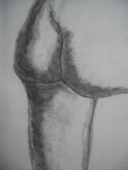 From Photograph_Bum 2001