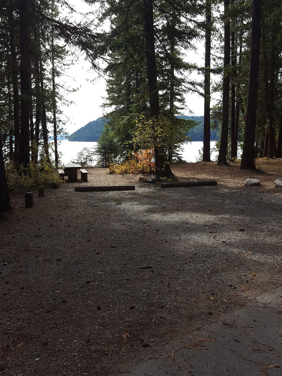 Reeder Bay Campground Site 19