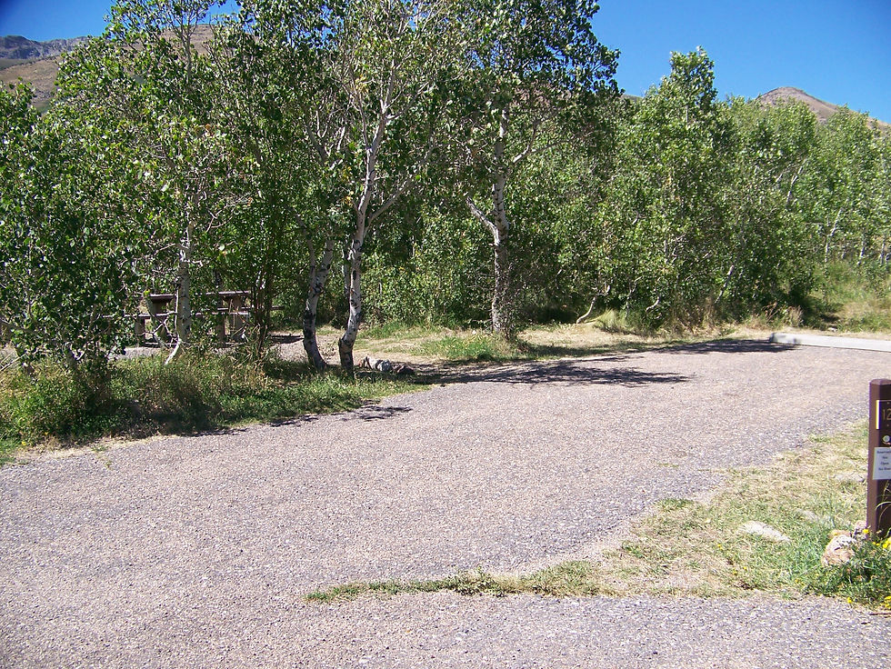 Angel Creek Site 12
