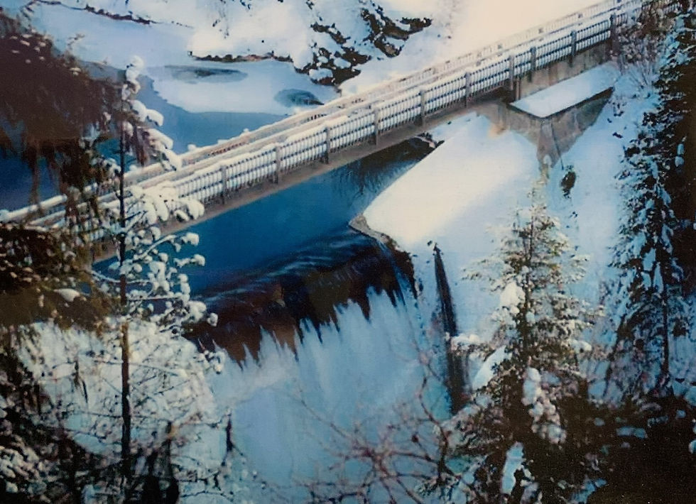 Mill Pond in winter