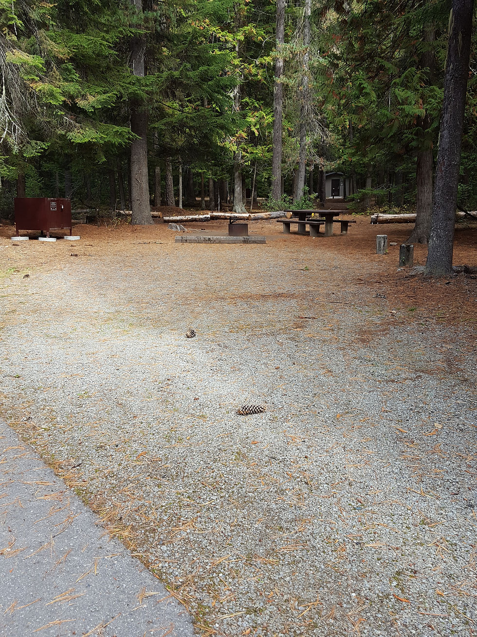 Reeder Bay Campground Site 8