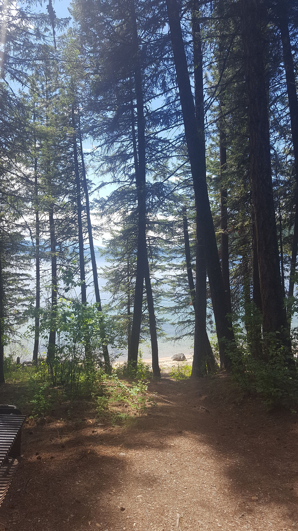 Reeder Bay Campground