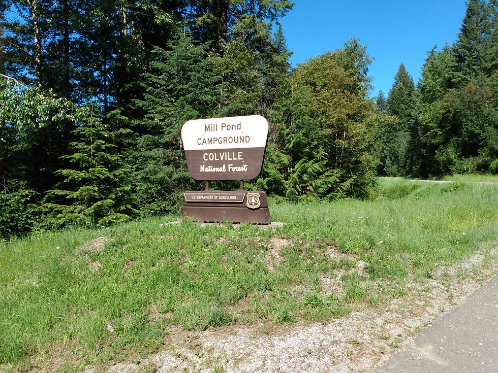 Mill Pond Entry Sign