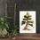 Thumbnail: Pine Tree Watercolor Art Print