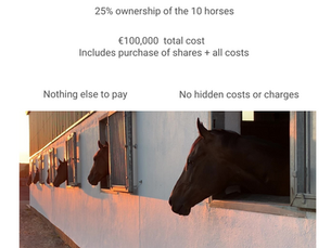 10 Horse Syndicate for 2024 Season