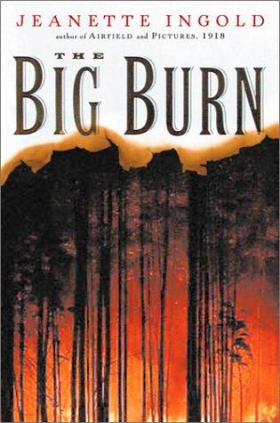 The Big Burn by Jeanette Ingold