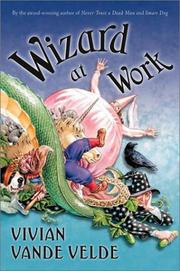Wizard at Work by Vivian Vande Velde