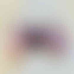 823747E6-31E9-49A3-BAD1-07F556A6844D.jpeg