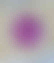 IMG_0127.jpeg
