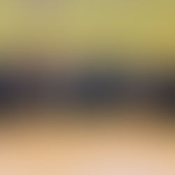 Christmas Shoebox Appeal