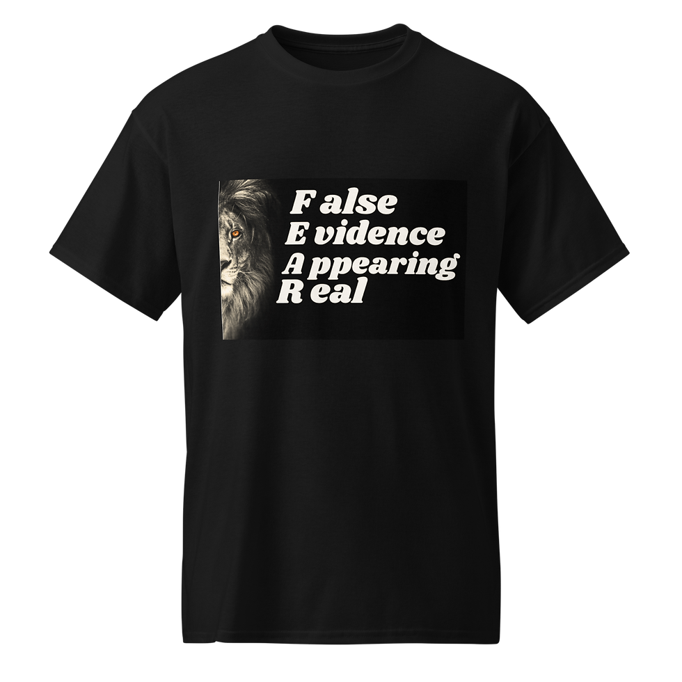 DryBlend® T-Shirt