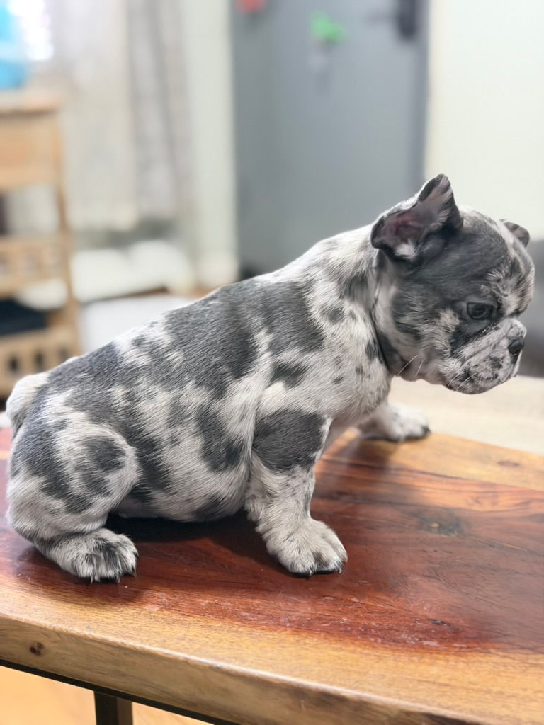 Thumbnail: New Star_Not Available