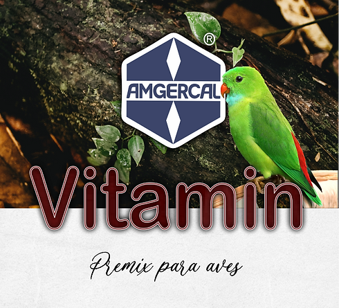 Vitamin.png