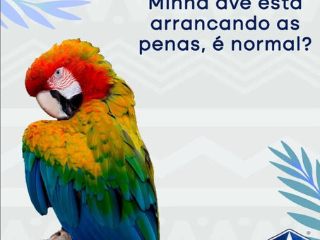 Minha ave está arrancando as penas, é normal?