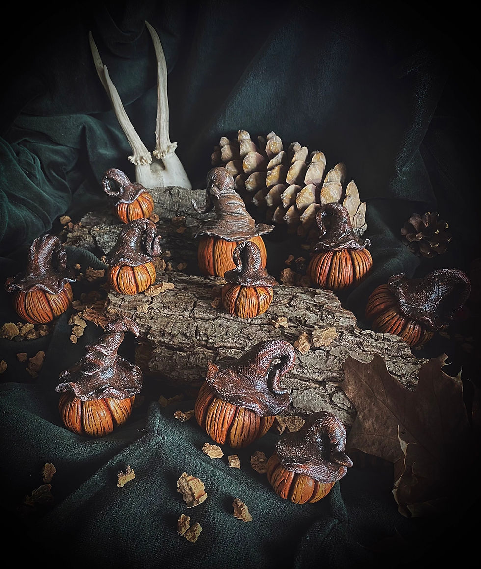 Miniature : Citrouille 1 Mabon