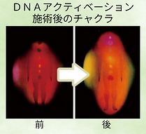 チャクラの変化_ver2.png