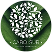 paseo del alamo circulo logo.png