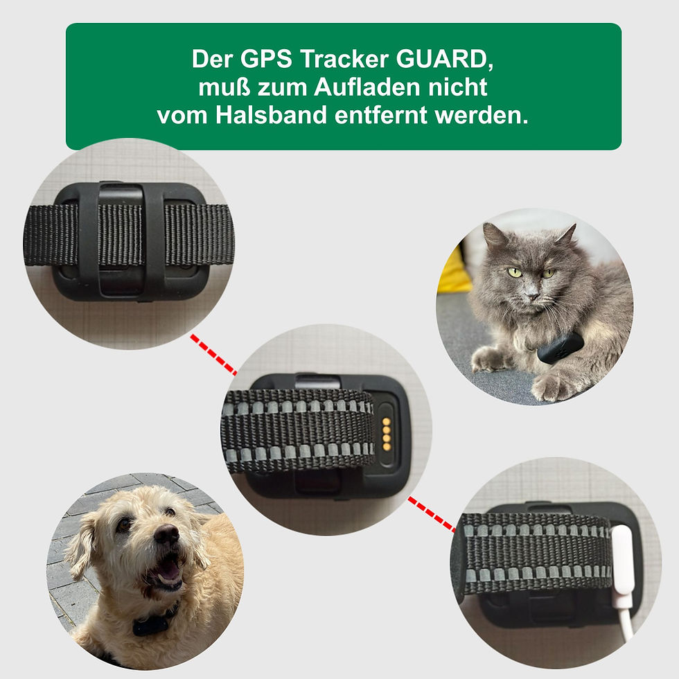 Miniaturbild: GPS Tracker GUARD