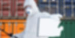 Best Pest Control Services in Saudi Arabia