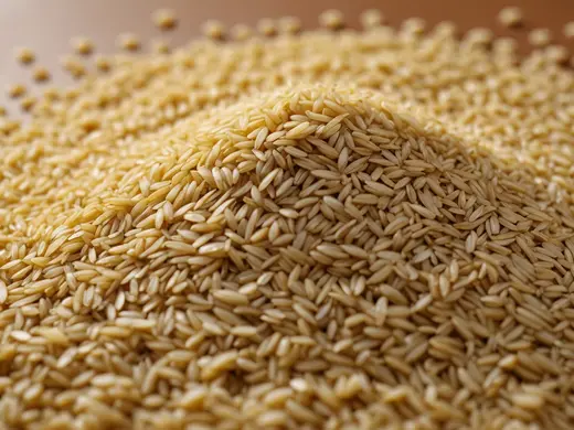 The Crucial Role of Rice Mill Fumigation in Safeguarding Food Quality and Safety: Industry Challenges and Solutions