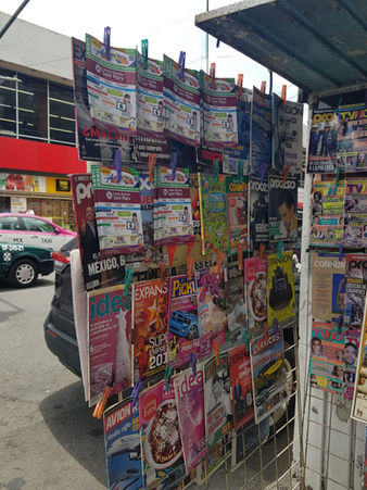Revista zonal puestos de periodicos