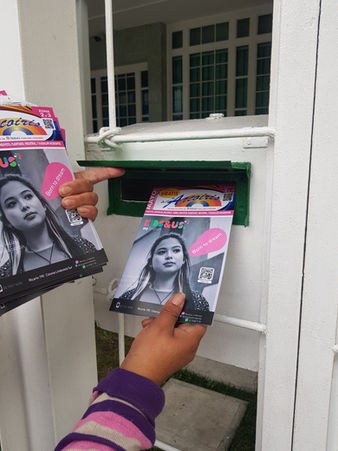 Revista zonal de casa en casa
